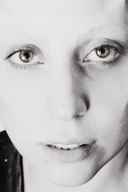 killtheillusion:  Lady Gaga, Portrait by porn pictures