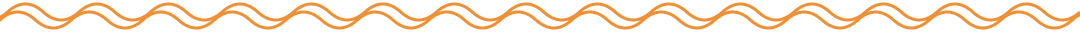 orange squiggle divider