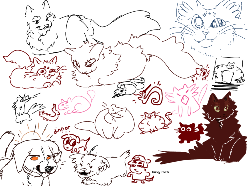 drawpile n ight with the gamers.  ft. our funny f unnyn y  pe ts.