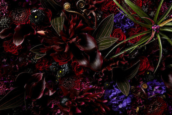 87-mm:  My breath is literally taken away when I look at Makoto Azuma’s beautiful