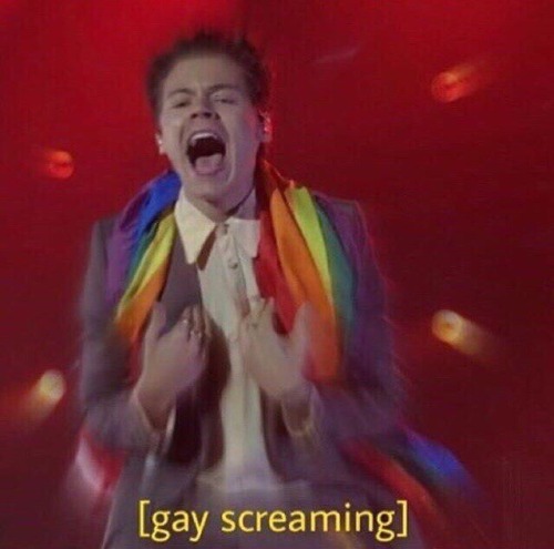 ^^^reaction Pics But Make It Pride Month Edition