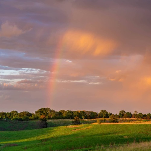 A rainbow leads to golden clouds.