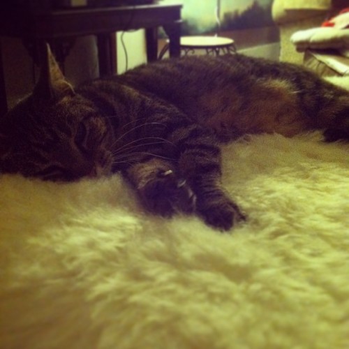 Reclining nude on sheepskin rug.