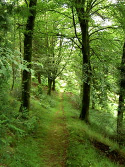 pagewoman:  Dumfries and Galloway, Scotland  