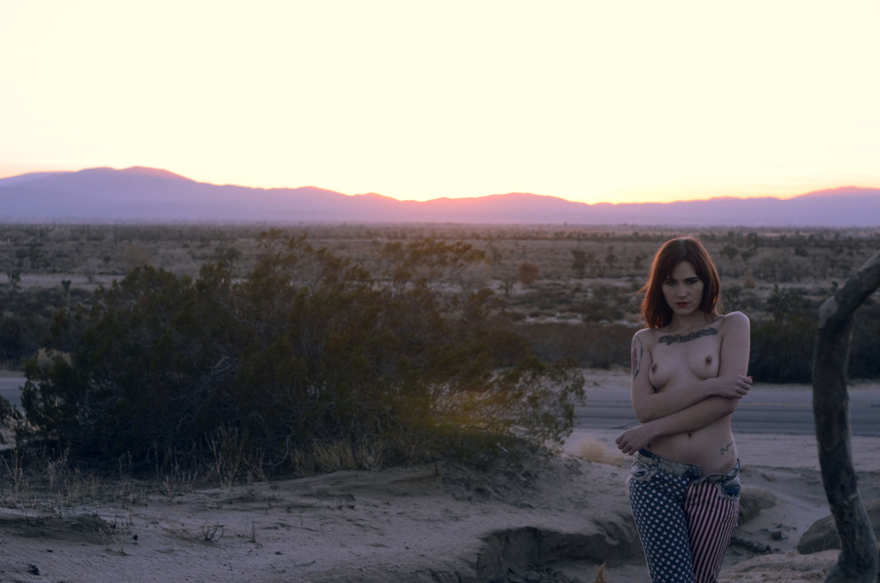 gingerlionheart:  msnacke | lionheartpalmdale ca