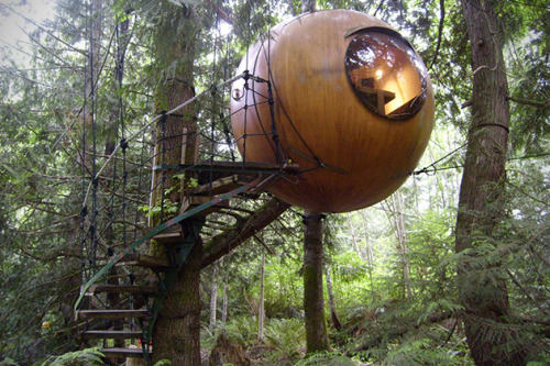 Porn mylesxmcgehee:  ladyinterior:  Treehouses photos