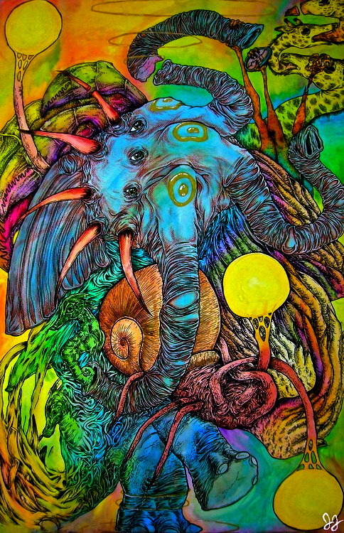 ☼ ☾