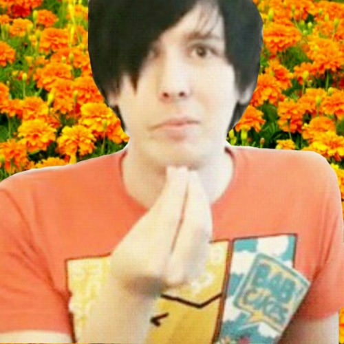 Phil Rainbow/Flower Icons! *PLEASE* Do not steal or claim as your own! Give credit! Also, if you use