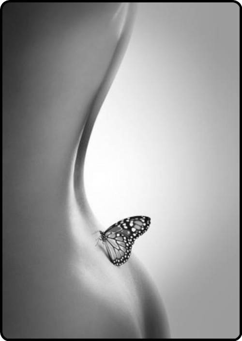 damianshadow:  mariposa