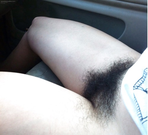 ladypubes: Back to business. Passenger bush!