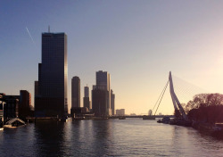 citylandscapes:  Rotterdam 