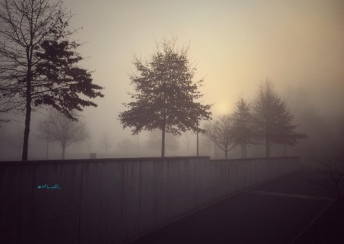 "It Leaves Me The Feeling Alone In A Silent World"