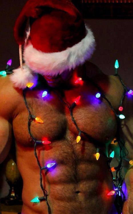 unitedbears:  MORE THAN 12.000 FOLLOWERS!  UNITED BEARS: EVERY DAY THE BEST BEAR PORN FOR YOU   FOLLOW NOW! PENIS | BEARS | AND MORE PENIS 