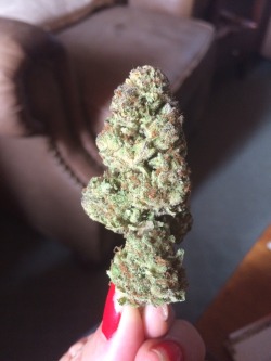 mama-marley:  Flo here we go ❤️ Excuse my shitty nails I’m about to get hiiiigh 