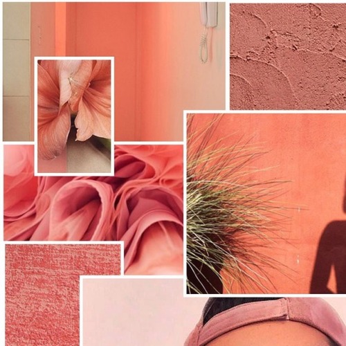 ROUNDING OUT OUR SERIES WITH ALL THE LUSCIOUS SHADES OF CORAL | • • • • • #