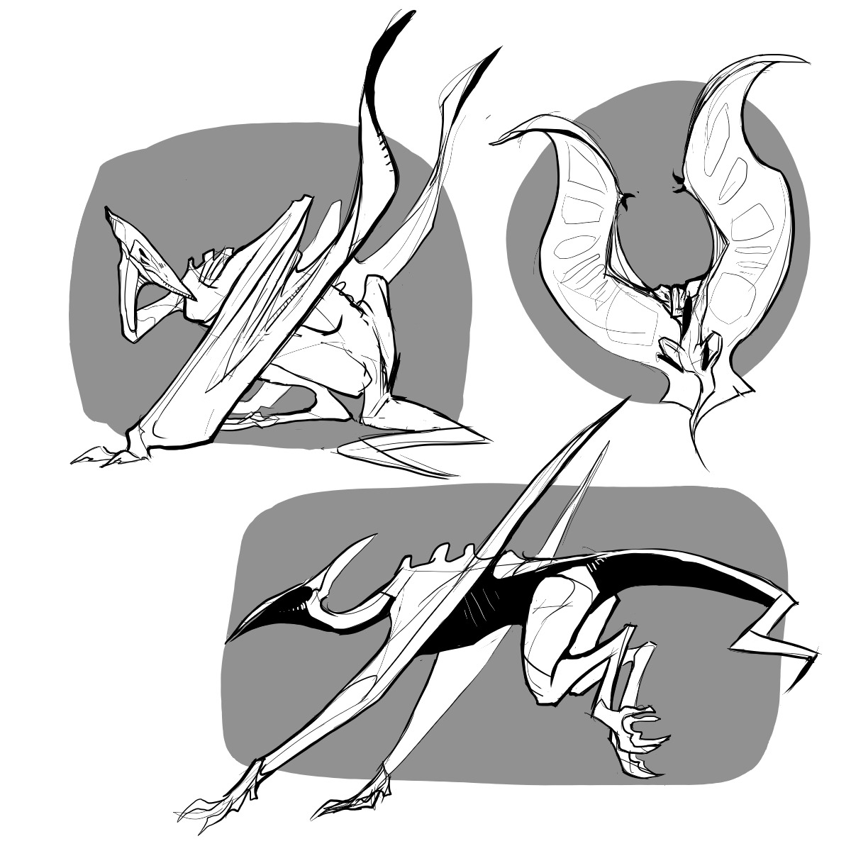 bobthedragon:  pterodactyl dudes!I don’t really understand crests but I like drawing