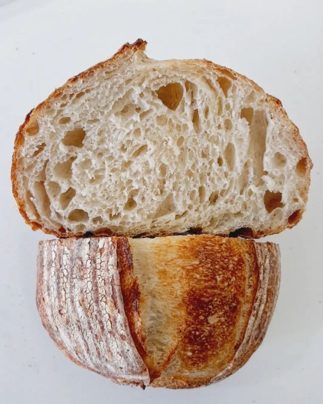 le.paindujour #bread#baking#food#cottagecore#sourdough#levain#campagne#loaf#trypo -