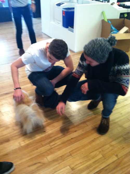 ryancharch: On a personal note, I would like to thank Jack, Finn, and Joey for coming over to Tumblr