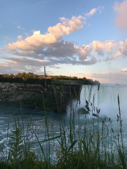 Sex monetfairy:so, niagara is actually all it’s pictures