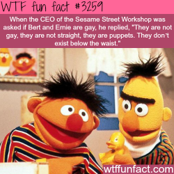 wtf-fun-factss:  Bert and Ernie gay? -  WTF fun facts