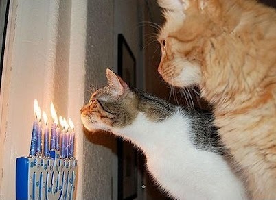 profmeowmers:it is just about sunset, so HAPPY FIRST DAY OF HANUKKAH MY FRIENDS!