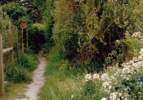 Beach Path - June 2018
