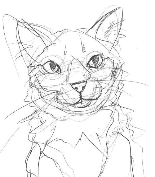 Freehand no references. Seems like a week of eyeballing animal photos is starting to help a bit. #ca