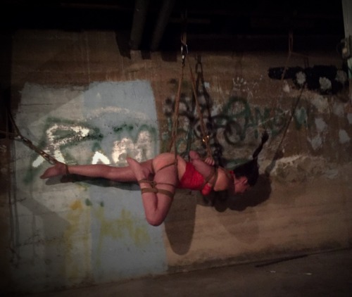 g-lare-bear:  Basement