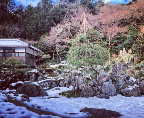 ＼おにわさん更新情報／ ‪[ 滋賀県米原市 ] 青岸寺庭園 ⇨ @kyukosann Seigan-ji Temple Garden, Maibara, Shiga の写真・記事を更新しました。 ー
