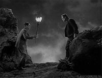 classichorrorblog:  Frankenstein (1931) 