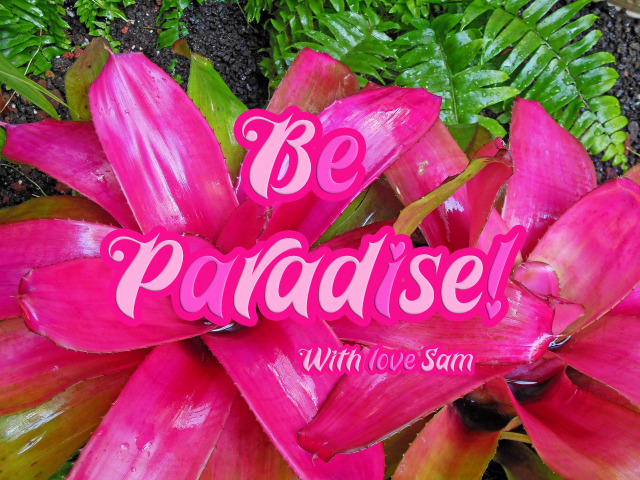 “Be Paradise” #be paradise#childhood dreams#hawaiian dreams#holiday vibes #children of god  #child of paradise #summer soul#pink life #my way of living #my artworks #my art blog #flower child #god loves everyone  #spirituality of the eternal child of paradise