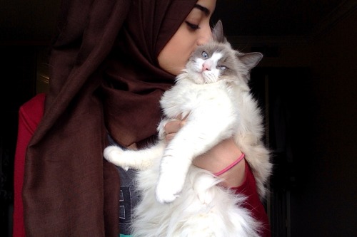 rnashallah:  i used my cat as a white balance… she’s looking into the camera like she’s on the fucking office