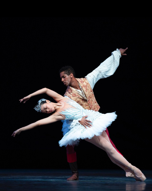 angelica generosa and jonathan batista photographed performing as odette and prince siegfried in swa