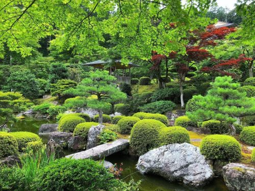 三室戸寺庭園 [ 京都府宇治市 ] Mimurotoji Temple Garden, Uji, Kyoto の写真・記事を更新しました。 ーー紫陽花咲き誇る京都の“あじさい寺”の日本庭園は、現代の