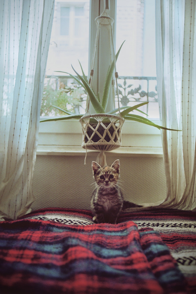 sitoutside:  by  maud chalard   
