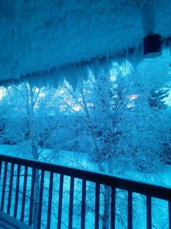 Look at our deck,it&rsquo;s like Jack Frost ejaculated all over it. You can&rsquo;t even see the second birdhouse in this picture,can you?  But it&rsquo;s supposed to be warm today,my husband said it was a whole 4 degrees out.