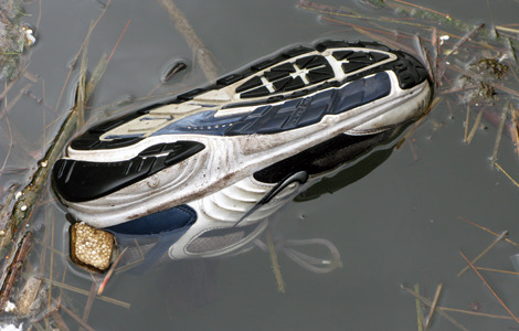 terrifiantus:  Salish Sea Human Foot Mystery Since August 20th, 2007 several human feet have washed up on the shores of the Salish Sea in British Colombia. These feet were found inside of sneakers and belonged to 5 men, one woman, a few other of unknown