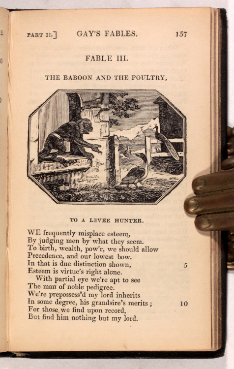 Gay’s Fables - Archdeacon Coxe London Thomas Tegg 1841 - A New Edition 