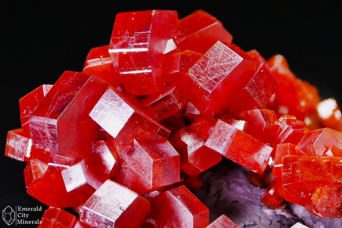 Translucent, cherry red Vanadinite (Pb5(VO4)3Cl) crystals on white bladed Baryte (BaSO4) matrix. Fro