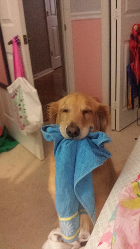 flygoing:  she likes carrying around random rags for no reason 