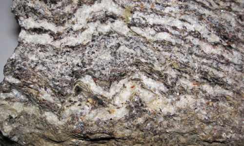 Gneissfrom the Joshimath Formation at Jyotirmath (Uttarakhand, India).Thisgneiss is from the Protero