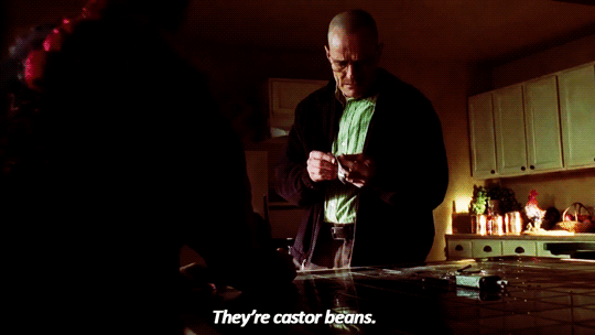 sandandglass:Breaking Bad s02e01