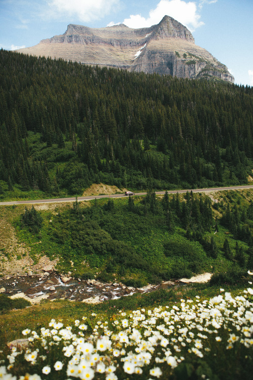 thecraziethewizard:Glacier National Park, Montanaby Jeremiah Probodanu(IG: @THECRAZIETHEWIZARD)