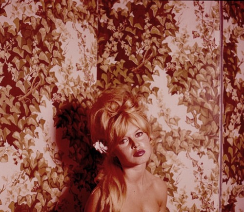 Brigitte Bardot, 1960s