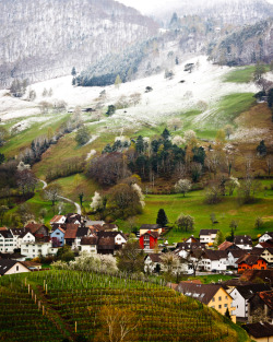 wanderlusteurope:  Liechtenstein countryside