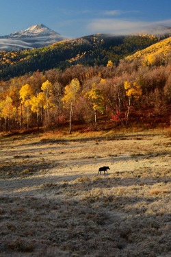 sublim-ature:  Wasatch Mountains, UtahCharlie Lansche