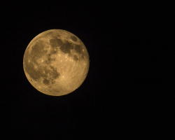 llbwwb:  (via 500px / Super Moon 7/12/2014 by Karen Burke)