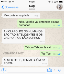 Queria ter um cachorro que fala