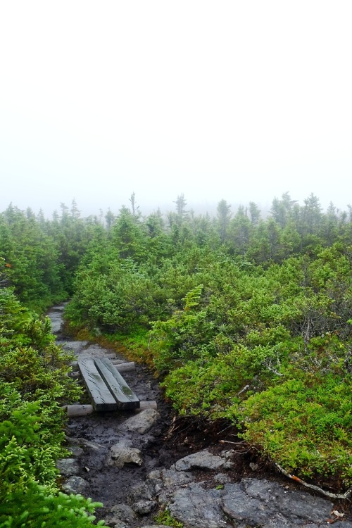 pedrodynomite: When they say ‘White Mountains’, they’re not kidding.