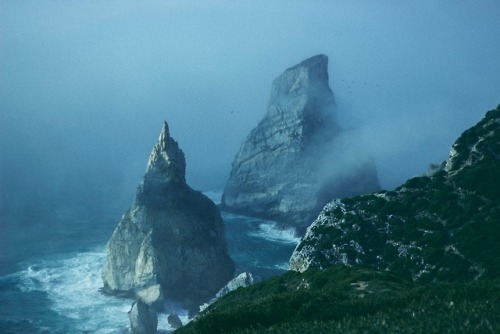 expressions-of-nature:Sintra, Portugal by Ruth Enyedi